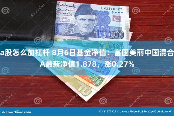 a股怎么加杠杆 8月6日基金净值：富国美丽中国混合A最新净值1.878，涨0.27%