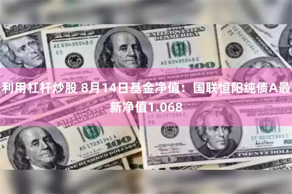 利用杠杆炒股 8月14日基金净值：国联恒阳纯债A最新净值1.068