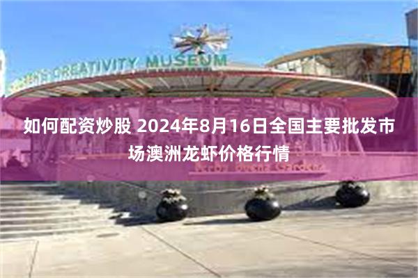 如何配资炒股 2024年8月16日全国主要批发市场澳洲龙虾价格行情