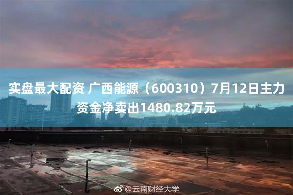 实盘最大配资 广西能源（600310）7月12日主力资金净卖出1480.82万元