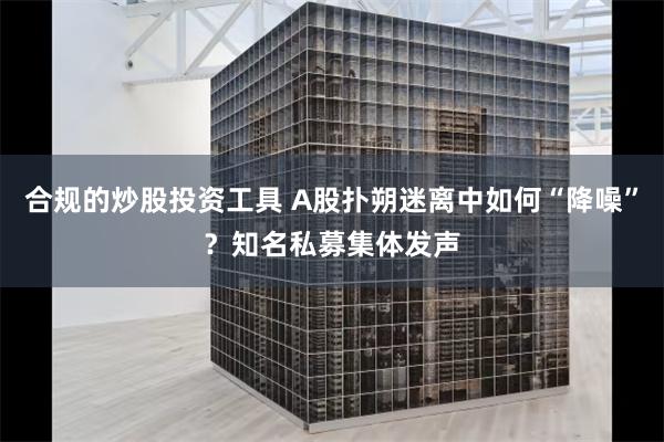 合规的炒股投资工具 A股扑朔迷离中如何“降噪”？知名私募集体发声