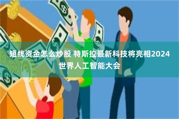 短线资金怎么炒股 特斯拉最新科技将亮相2024世界人工智能大会