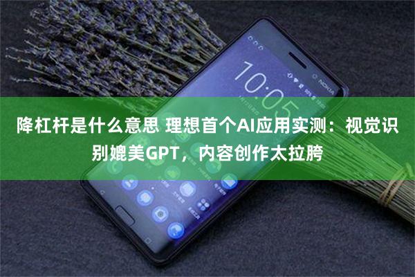 降杠杆是什么意思 理想首个AI应用实测：视觉识别媲美GPT，内容创作太拉胯