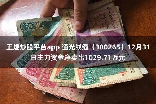 正规炒股平台app 通光线缆（300265）12月31日主力资金净卖出1029.71万元