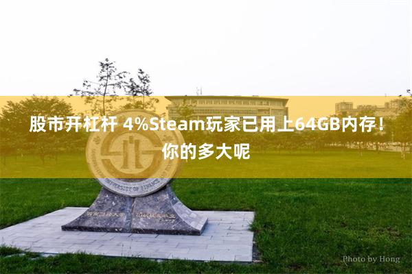 股市开杠杆 4%Steam玩家已用上64GB内存！你的多大呢