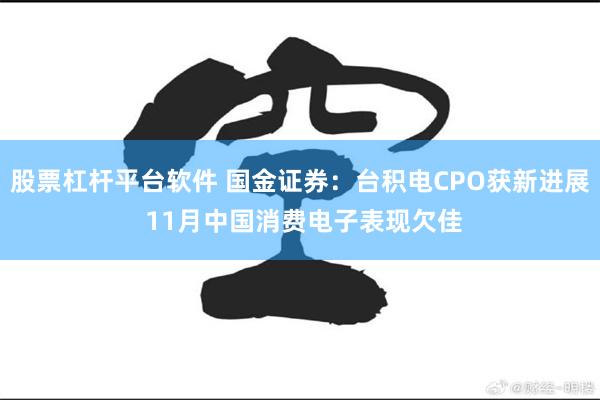 股票杠杆平台软件 国金证券：台积电CPO获新进展 11月中国消费电子表现欠佳