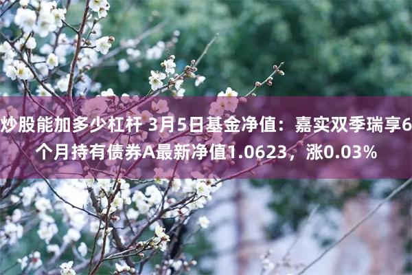 炒股能加多少杠杆 3月5日基金净值：嘉实双季瑞享6个月持有债券A最新净值1.0623，涨0.03%