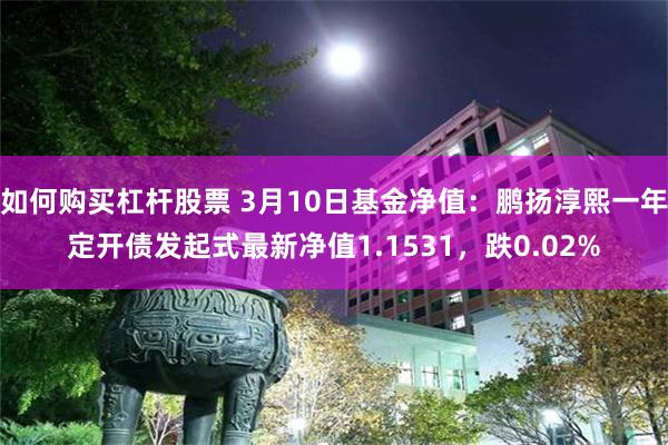 如何购买杠杆股票 3月10日基金净值：鹏扬淳熙一年定开债发起式最新净值1.1531，跌0.02%