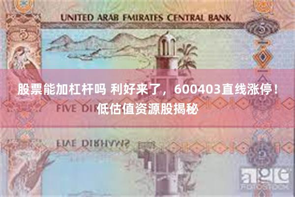 股票能加杠杆吗 利好来了，600403直线涨停！低估值资源股揭秘